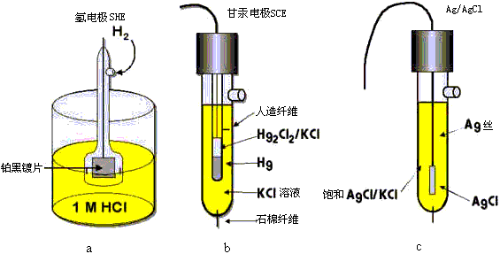 标准氢电极结构示意图图片
